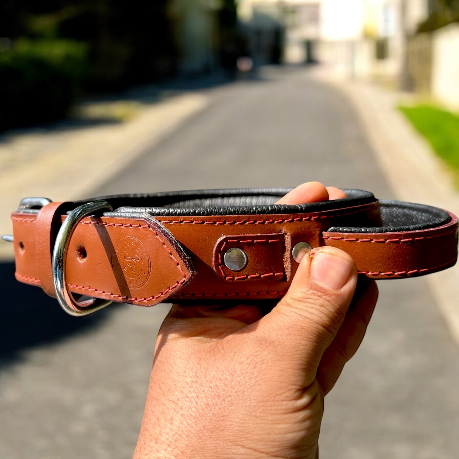 The K9 Store 100% Highgrade Leather Bold Dog Neck Collar For Training With Extra Handle - Zoey's Special (Chocolate)