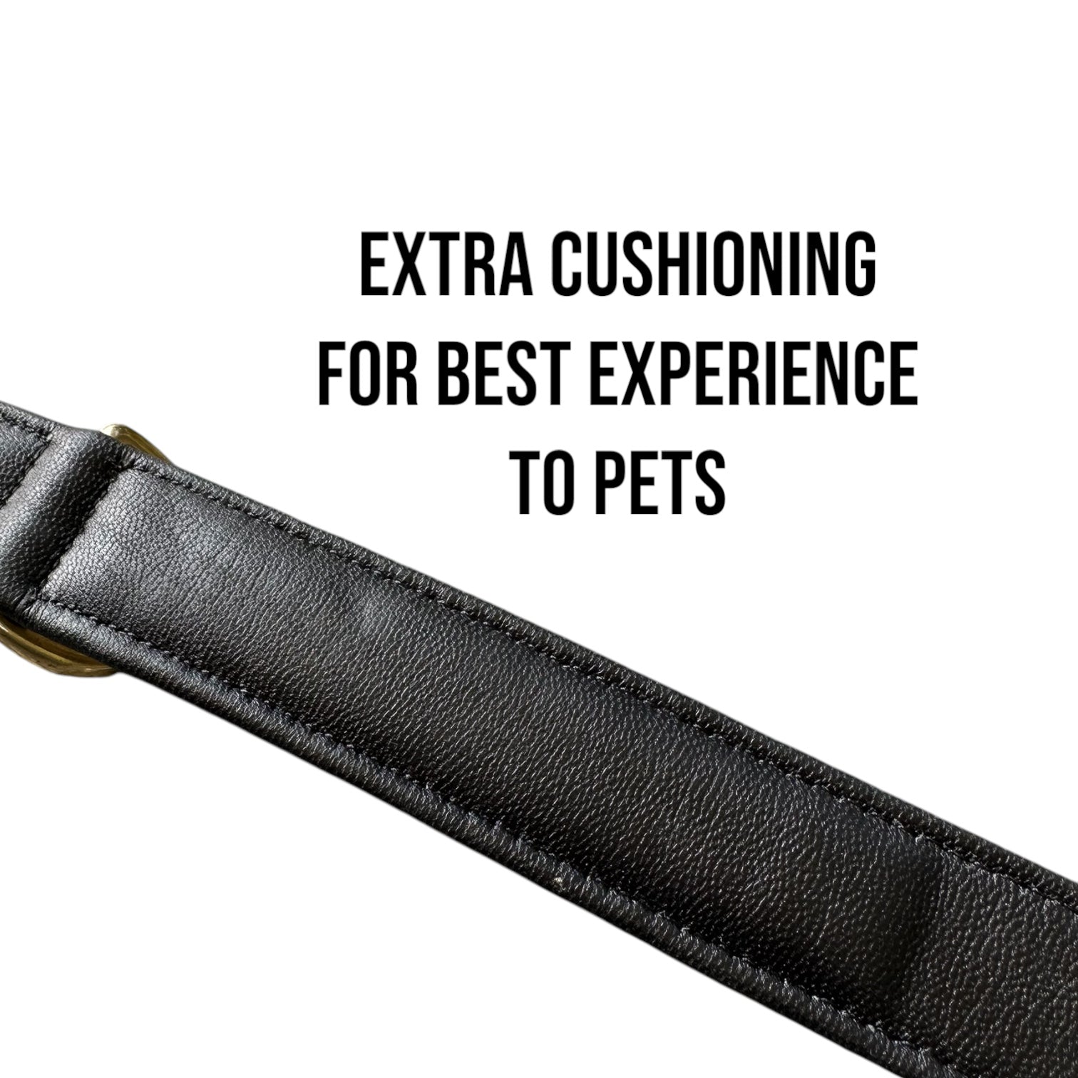 The K9 Store 100% Highgrade Leather Colored Basic Dog Neck Collar (Tan)