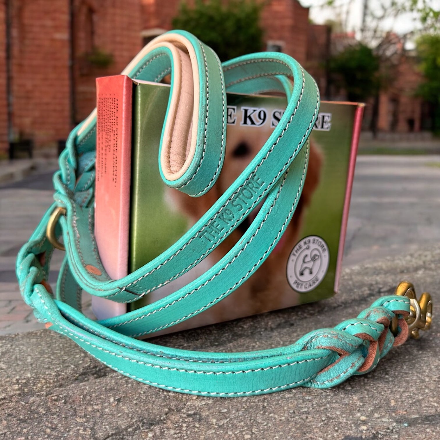 The K9 Store Premium Leather Double Handle Dog Leash, 6 Feet Long With Brass Hooks in Green Mint Color For All Dog Breeds