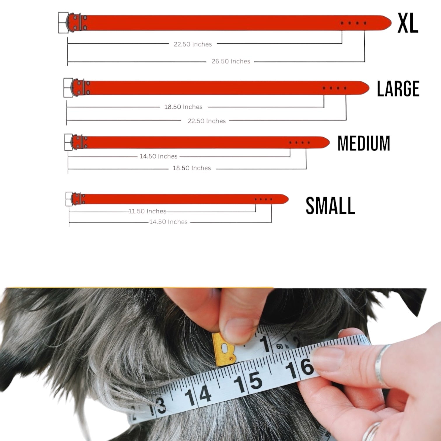 The K9 Store 100% Highgrade Leather Colored Basic Dog Neck Collar (Tan)