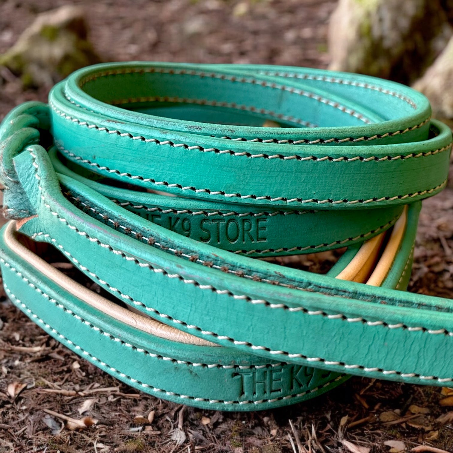 The K9 Store Premium Leather Double Handle Dog Leash, 6 Feet Long With Brass Hooks in Green Mint Color For All Dog Breeds