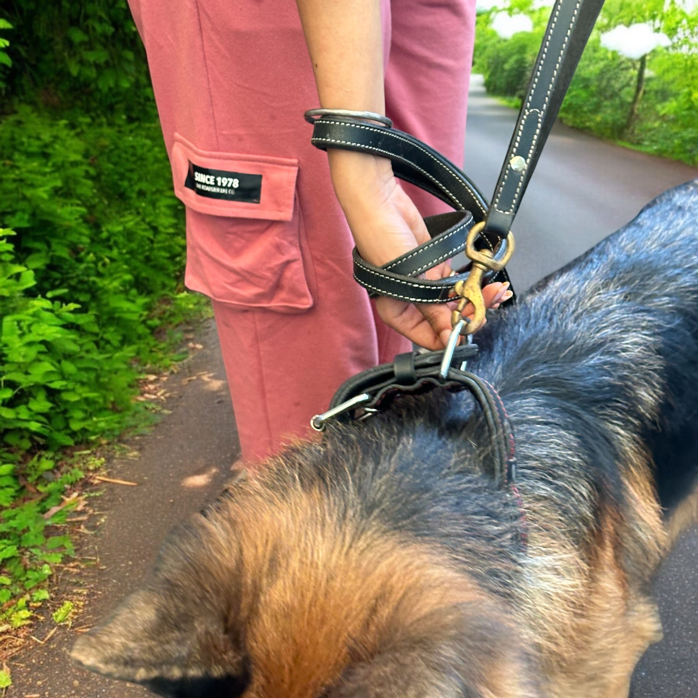 The K9 Store Premium Leather Single Handle Dog Leash, 6 Feet/5 Feet Long With Brass Hooks In Black Color For All Dog Breeds
