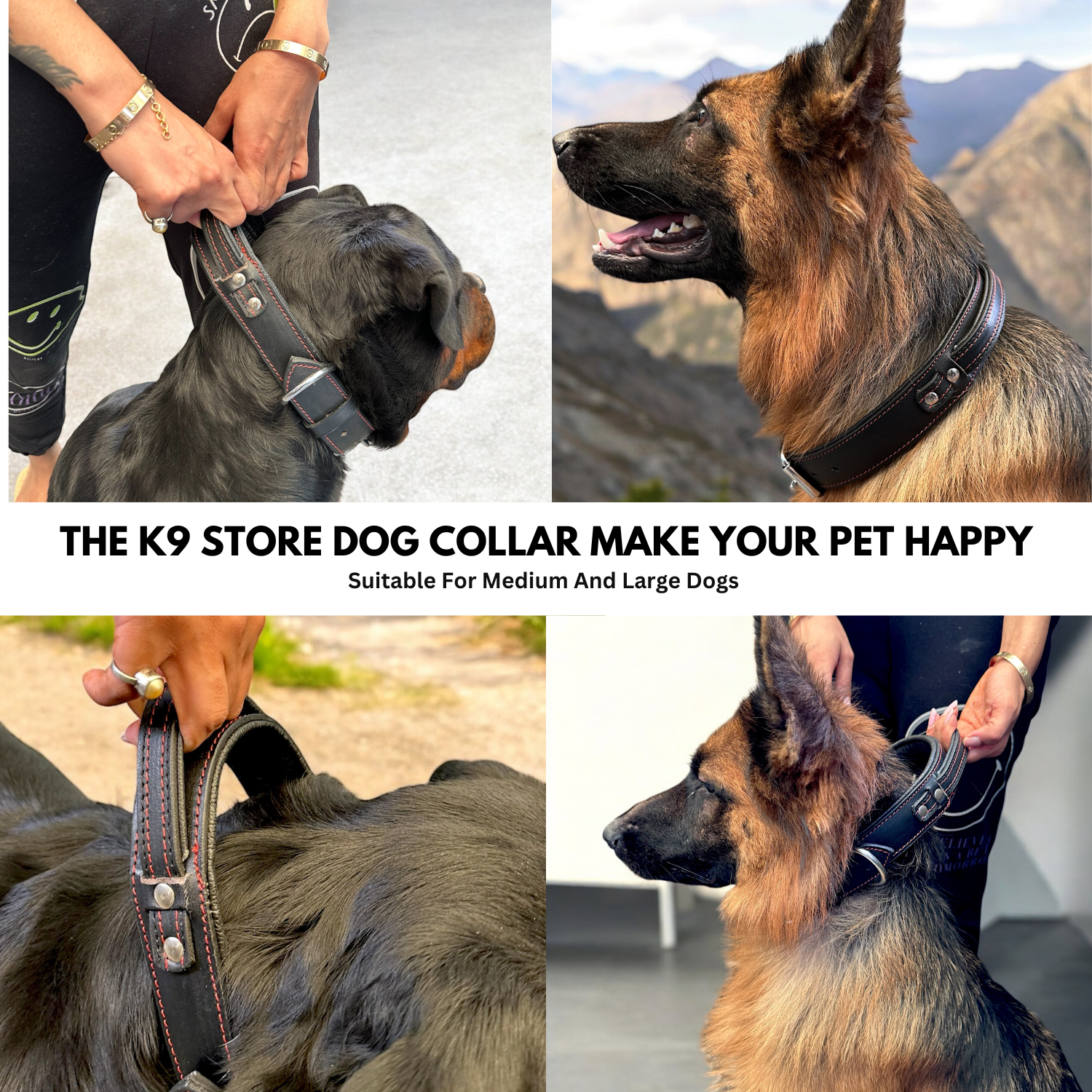 The K9 Store 100% Highgrade Leather Bold Dog Neck Collar For Training With Extra Handle - Zoey's Special (Black)