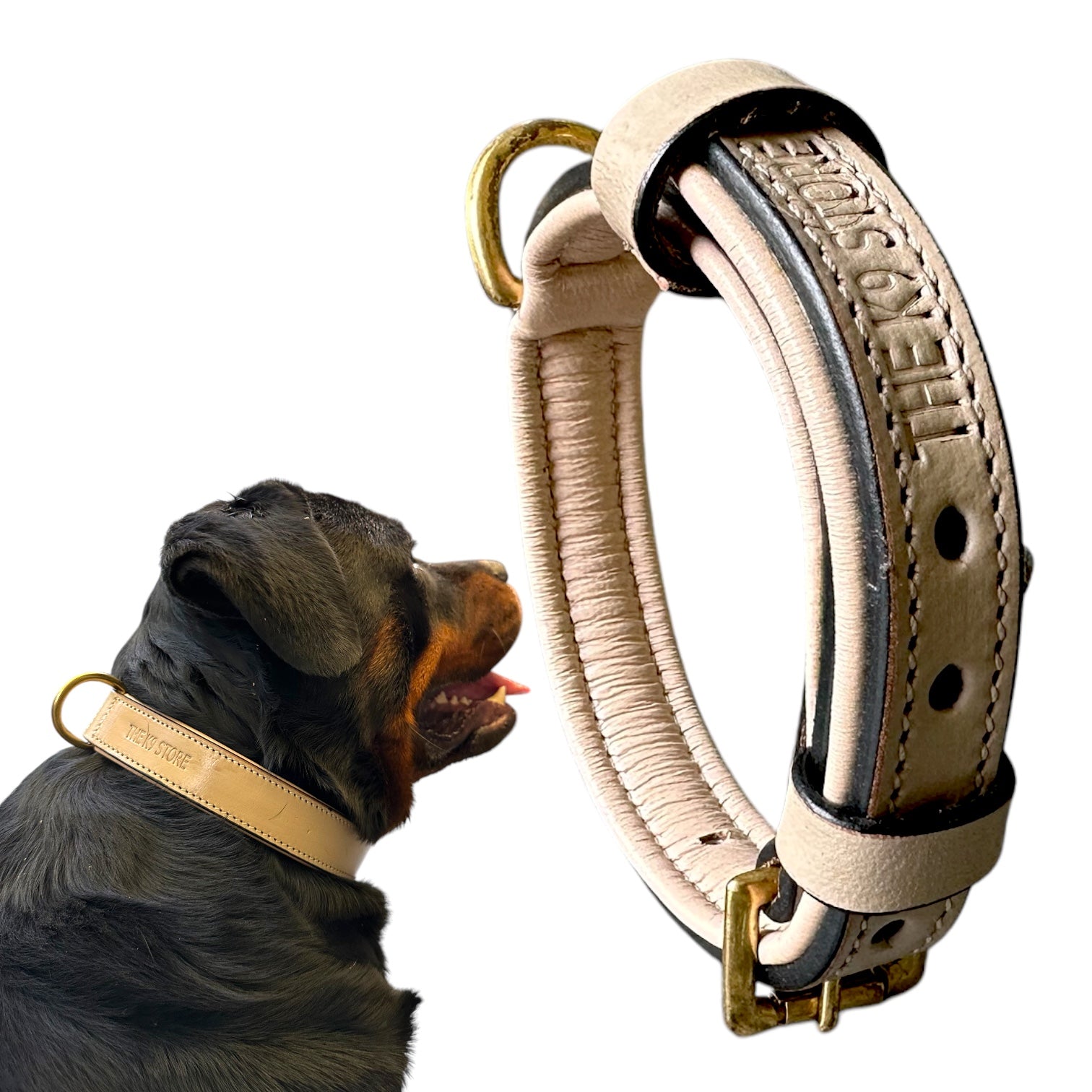 The K9 Store 100% Highgrade Leather Colored Basic Dog Neck Collar (Grey)