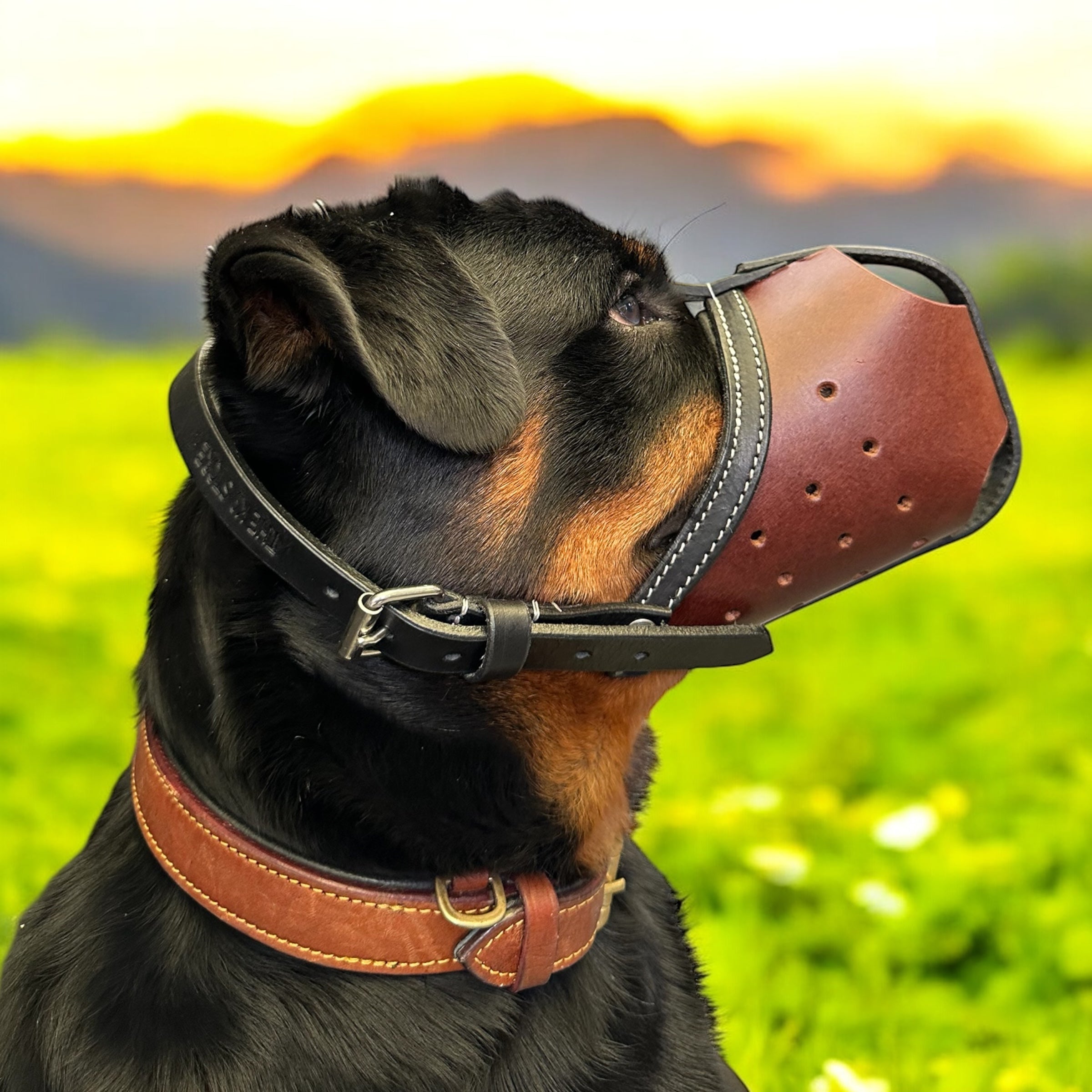 The K9 Store Premium Leather Dog Muzzle, Handstitched Mask for Gaint, Large & Medium Dog Breeds in Black/Tan Color