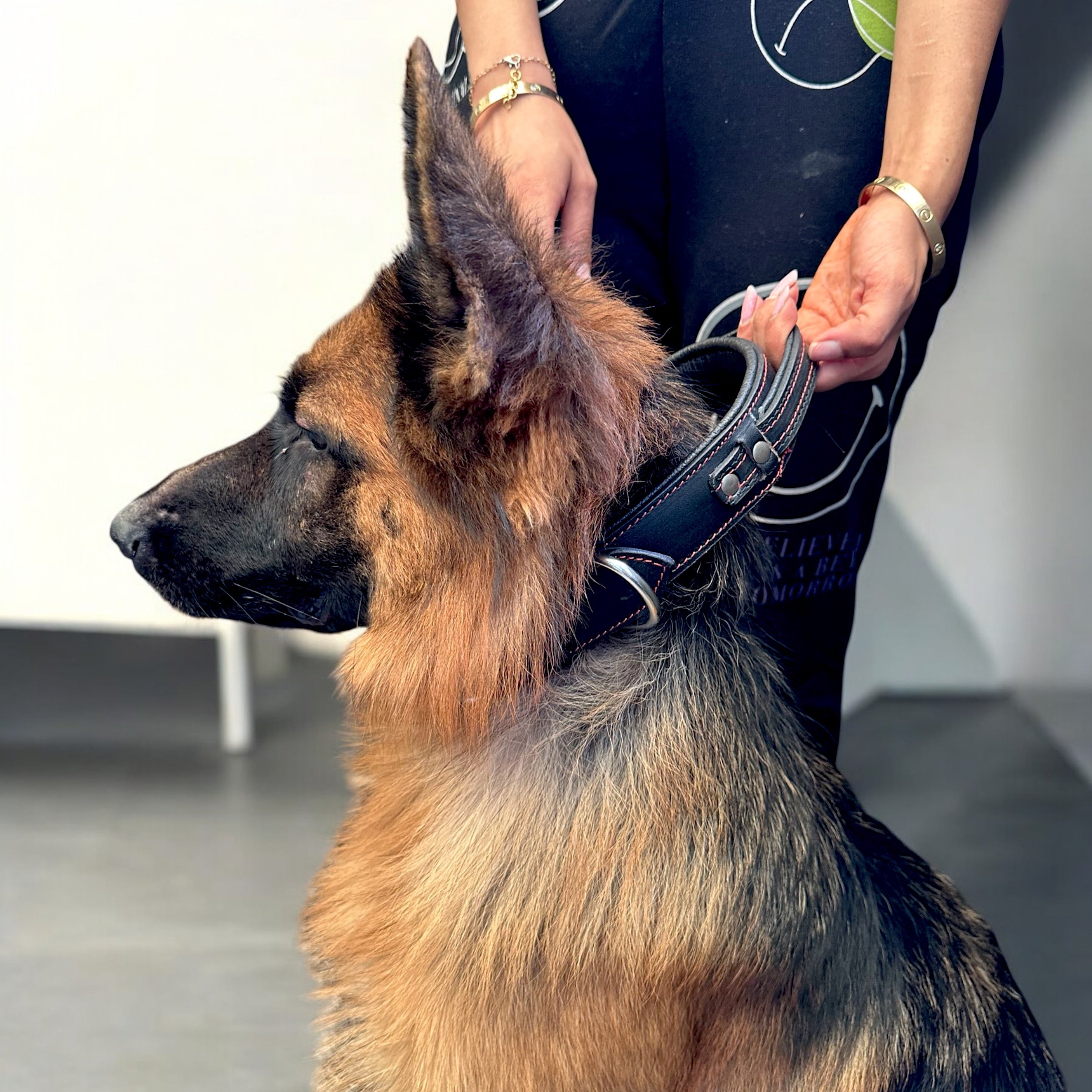 The K9 Store 100% Highgrade Leather Bold Dog Neck Collar For Training With Extra Handle - Zoey's Special (Black)
