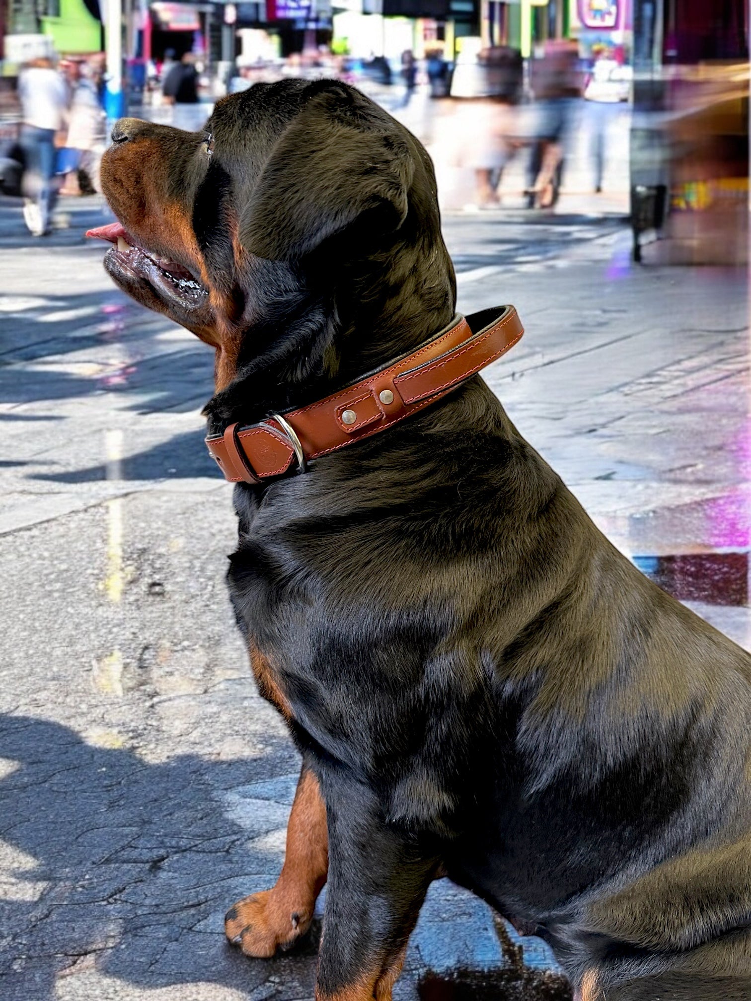 The K9 Store 100% Highgrade Leather Bold Dog Neck Collar For Training With Extra Handle - Zoey's Special (Chocolate)
