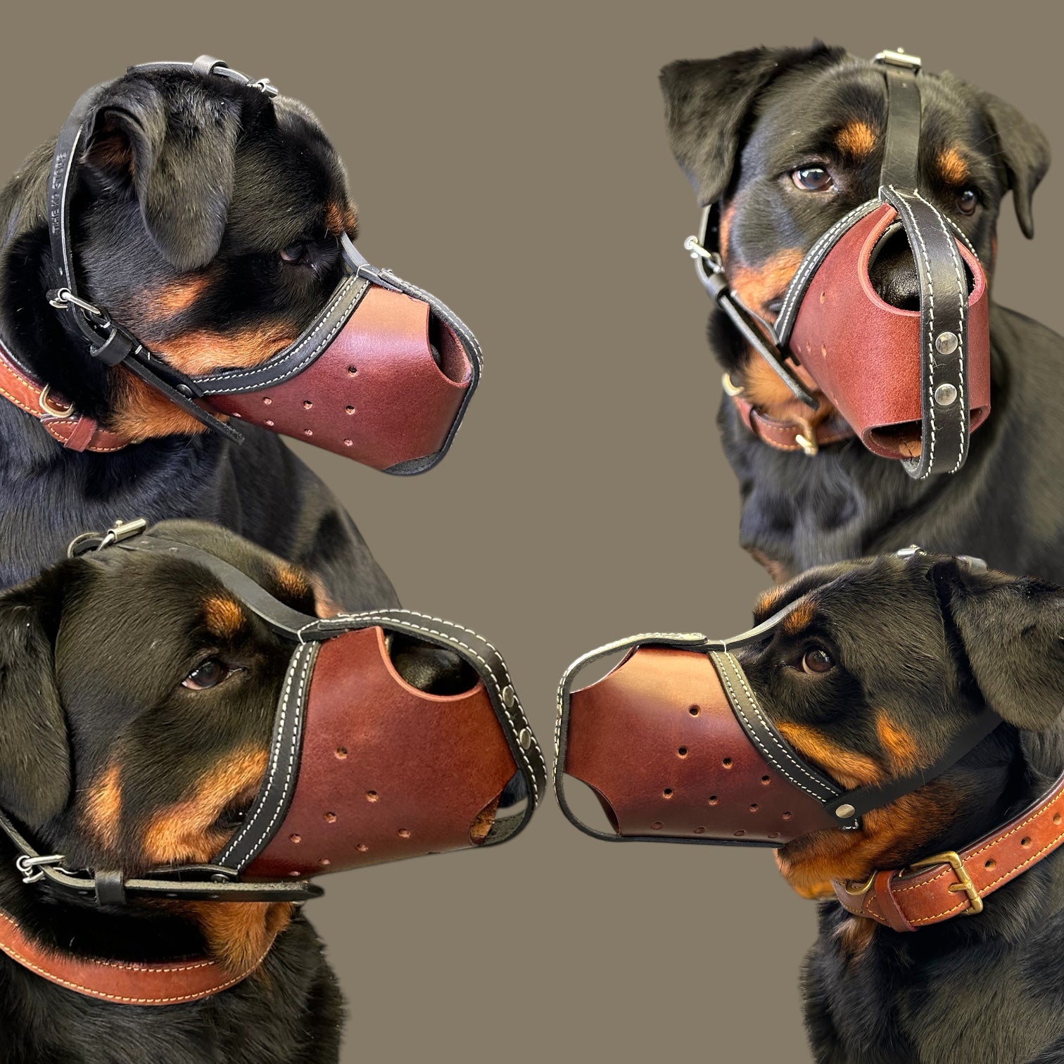 The K9 Store Premium Leather Dog Muzzle, Handstitched Mask for Gaint, Large & Medium Dog Breeds in Black/Tan Color