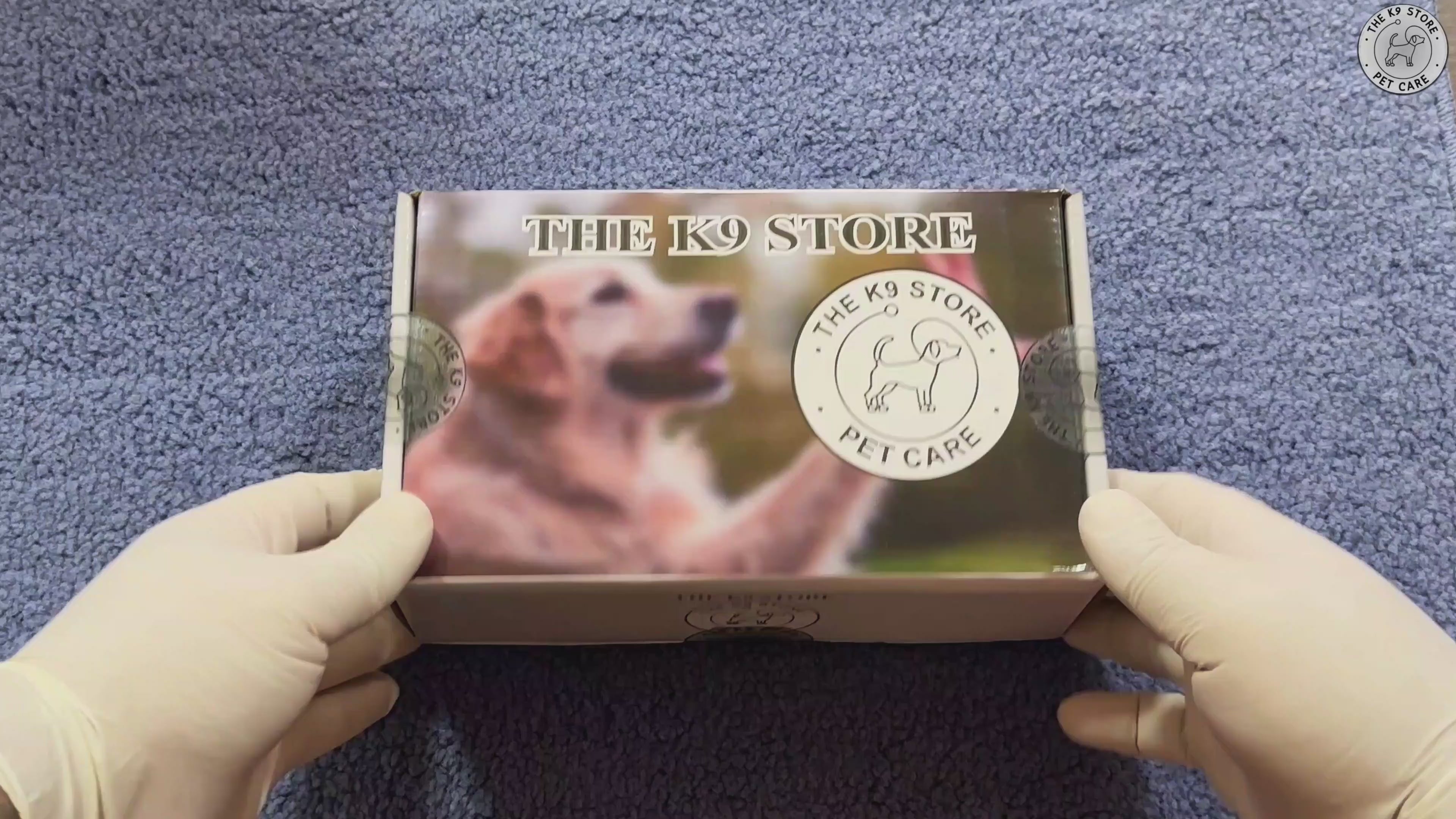 The K9 Store 100% Highgrade Leather Colored Basic Dog Neck Collar (Tan) Video