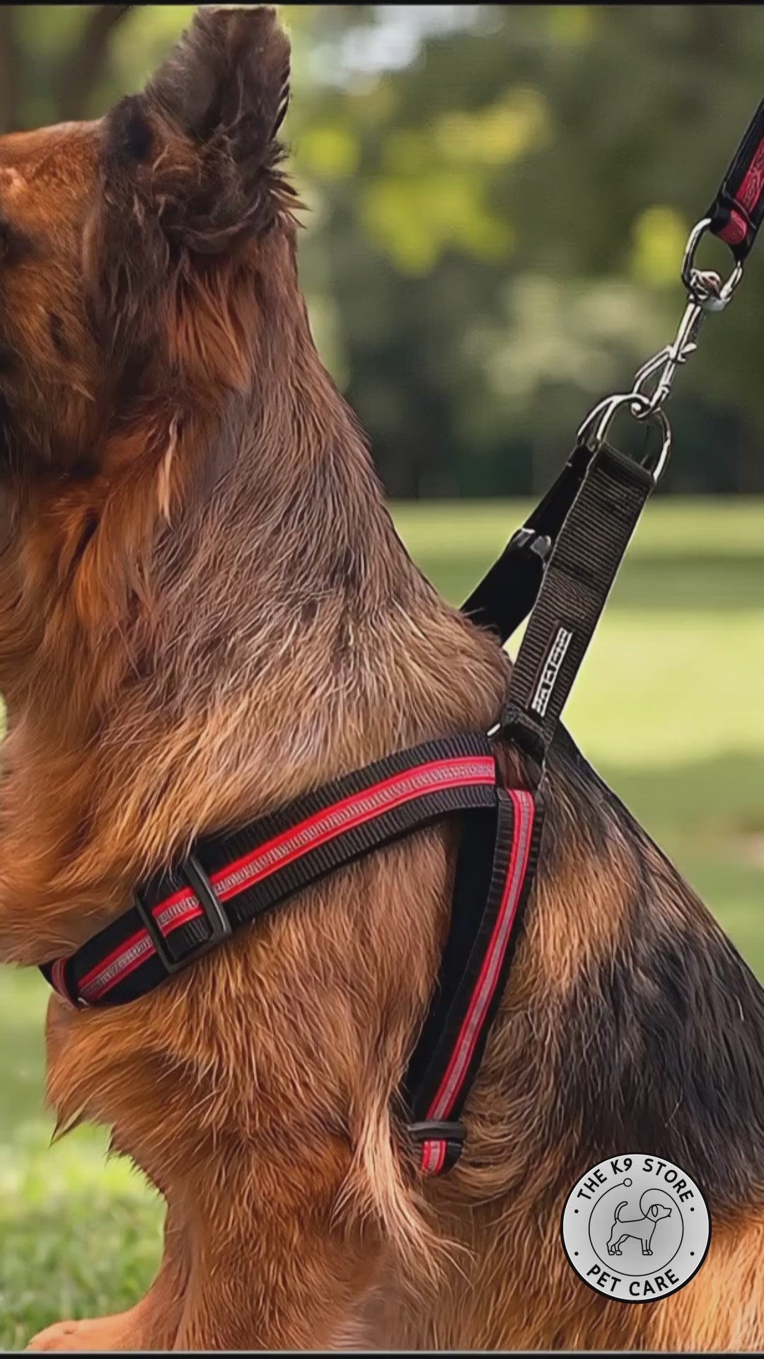 Reflective Dog Harness with Leash Combo | No-Pull Padded Dog Chest Harness | Adjustable, Heavy-Duty, Glow-in-Dark Safety Harness for Night Walks