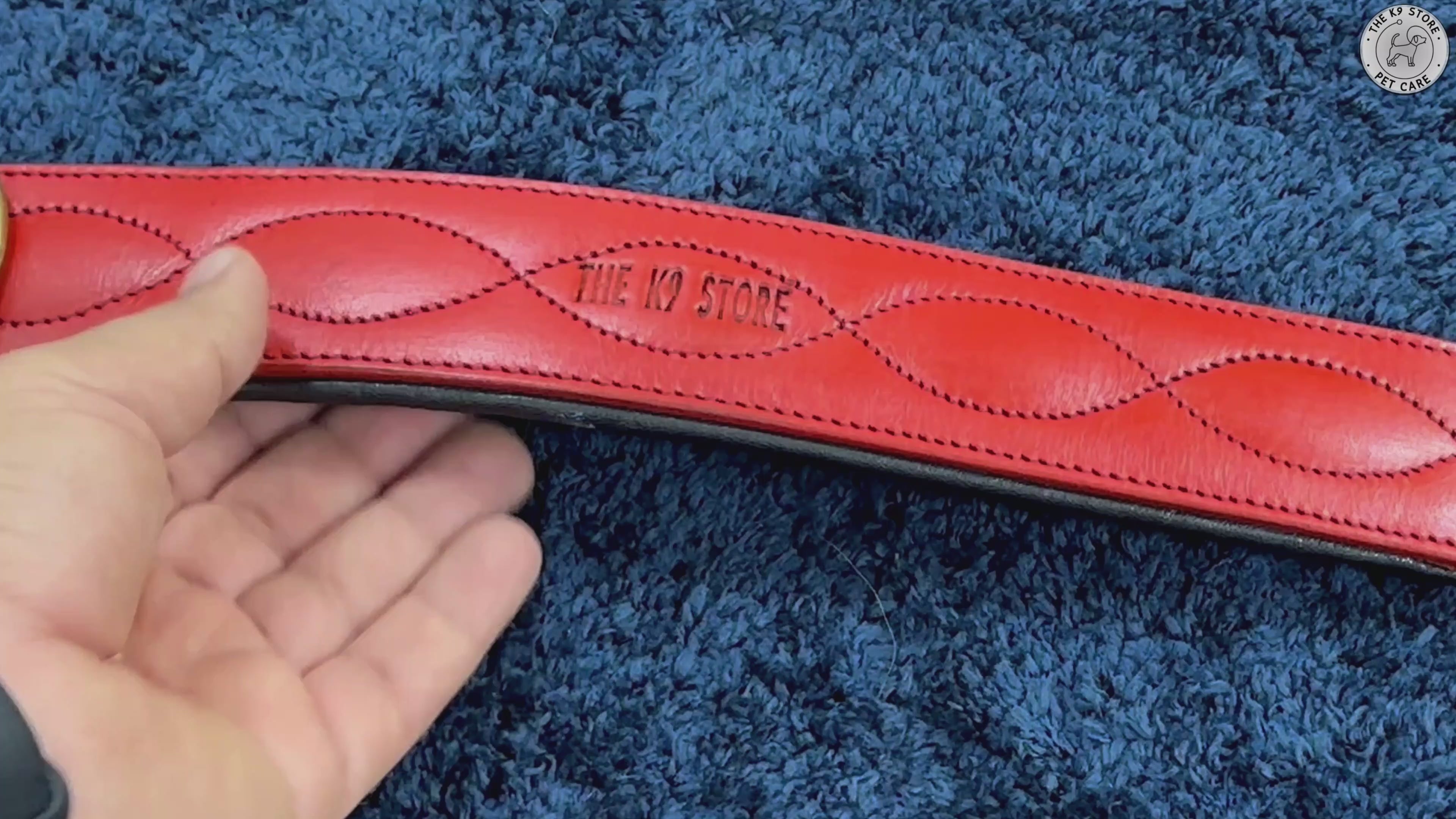 The K9 Store 100% Highgrade Leather Colored Bold & Premium Dog Neck Collar (Dark Red) Video