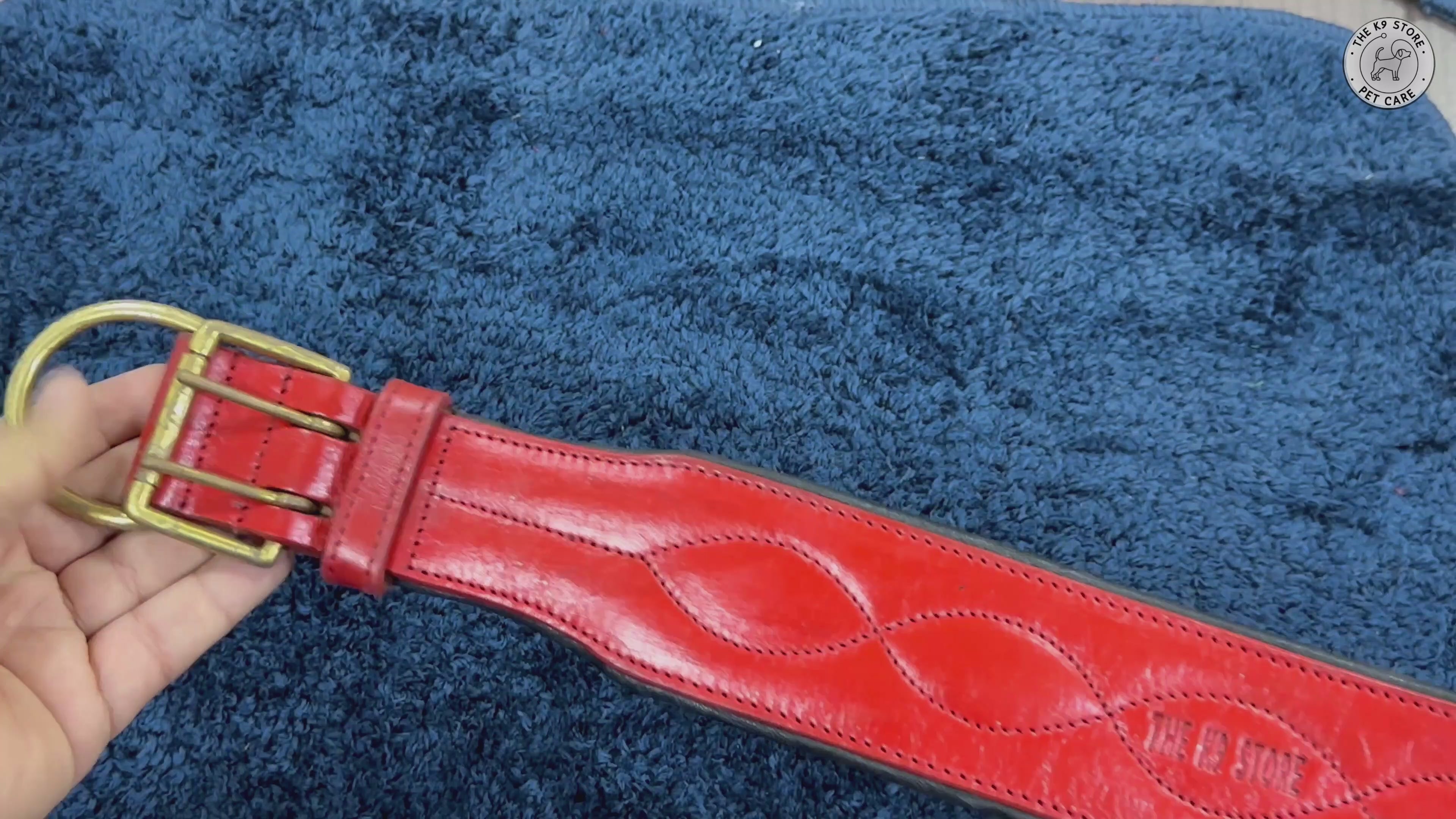 The K9 Store 100% Highgrade Leather Colored Bold & Premium Dog Neck Collar (Red) Video
