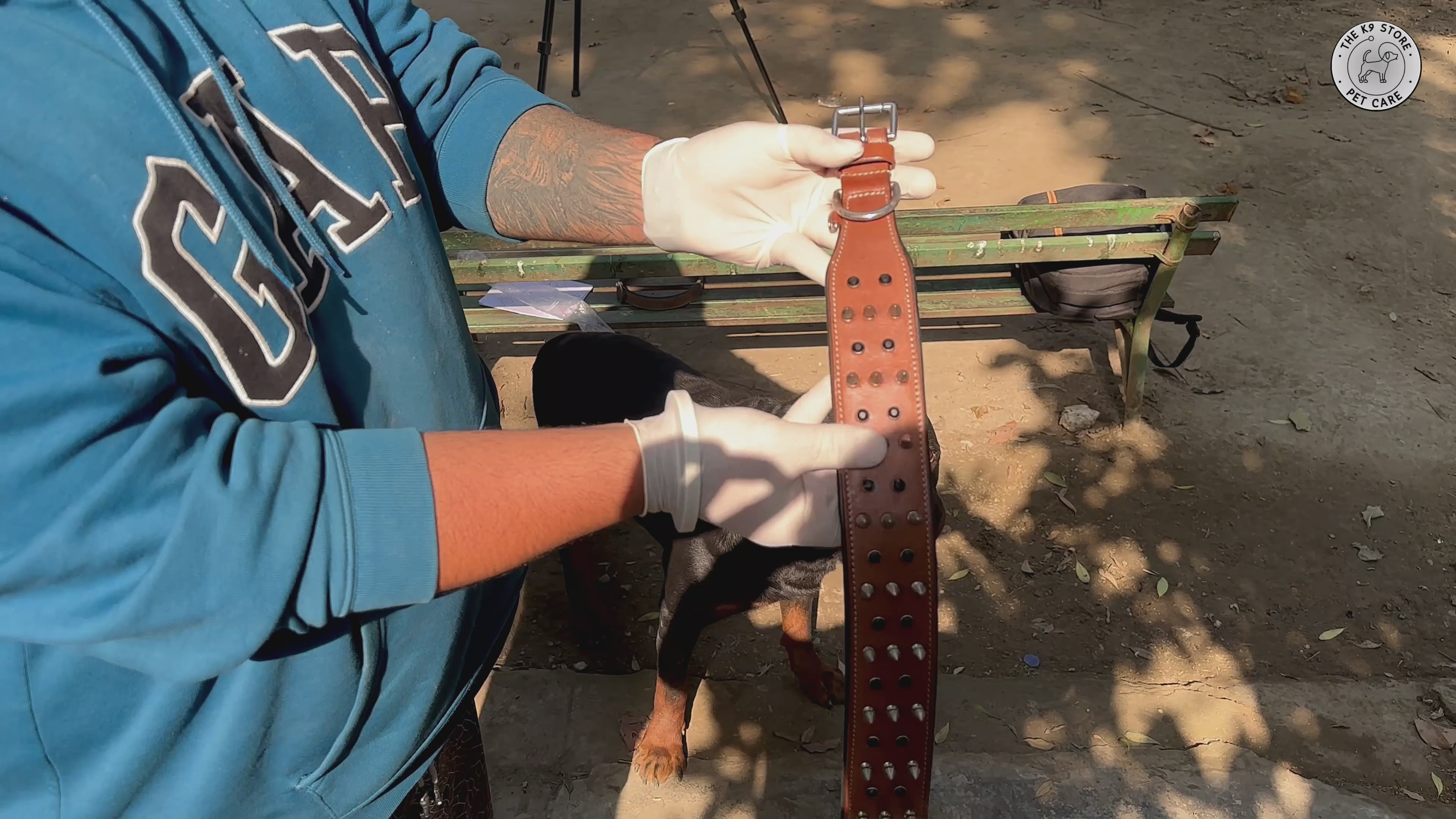 The K9 Store 100% Highgrade Leather Spiked & Studded Designer Dog Neck Collar (Brown) (Bubzee Special) video
