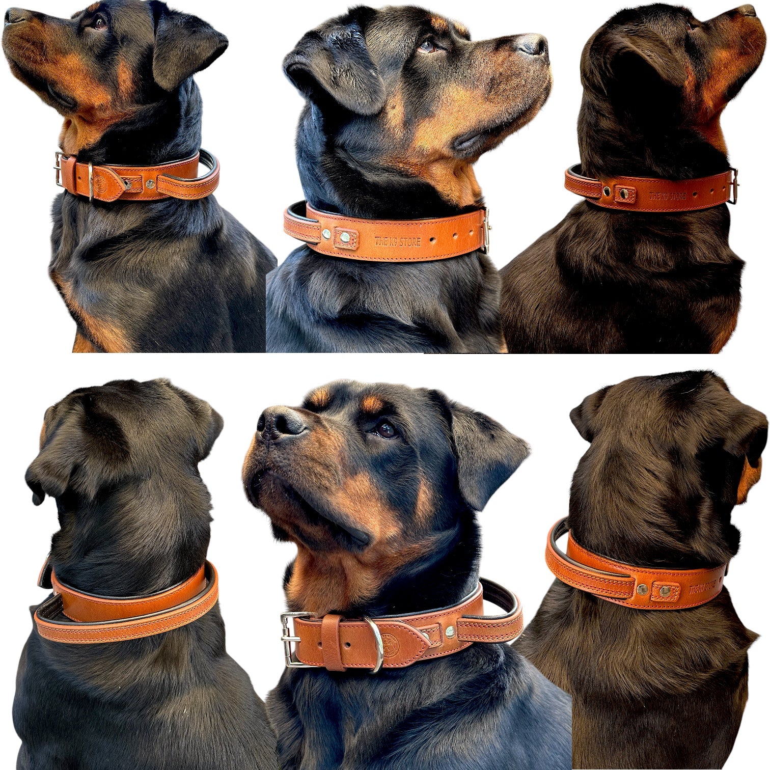 secure dog collar for behavior training