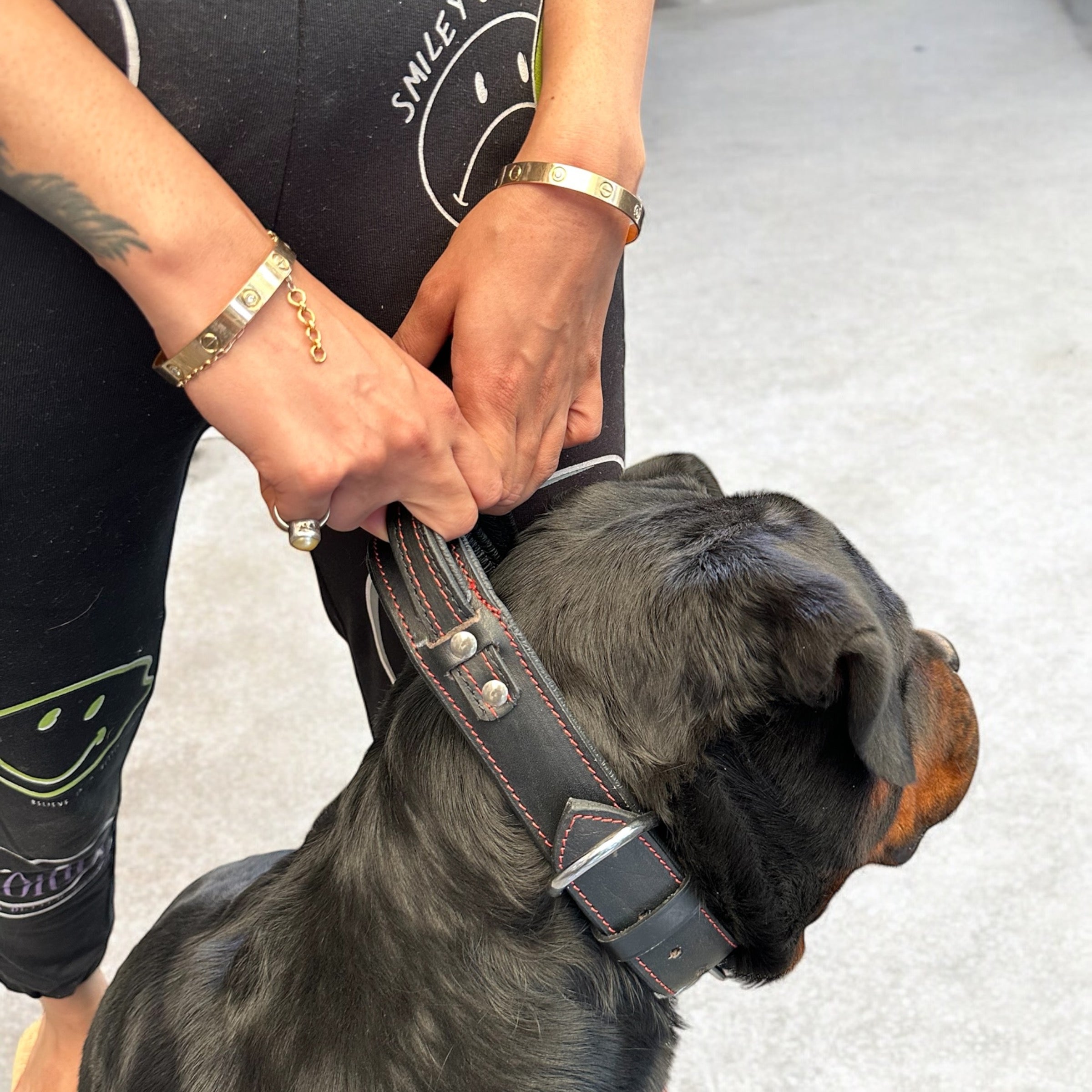 The K9 Store 100% Highgrade Leather Bold Dog Neck Collar For Training With Extra Handle - Zoey's Special (Black)