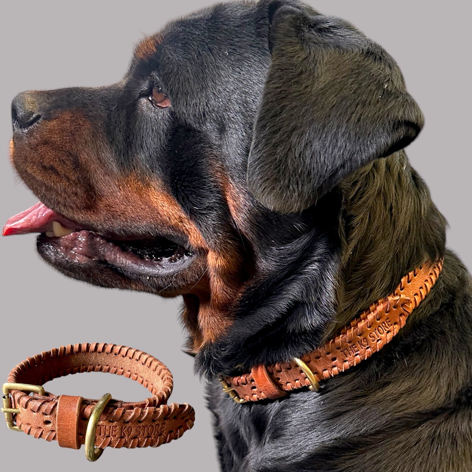 The K9 Store 100% Highgrade Leather Side Braided Designer Dog Neck Collar (Tan)