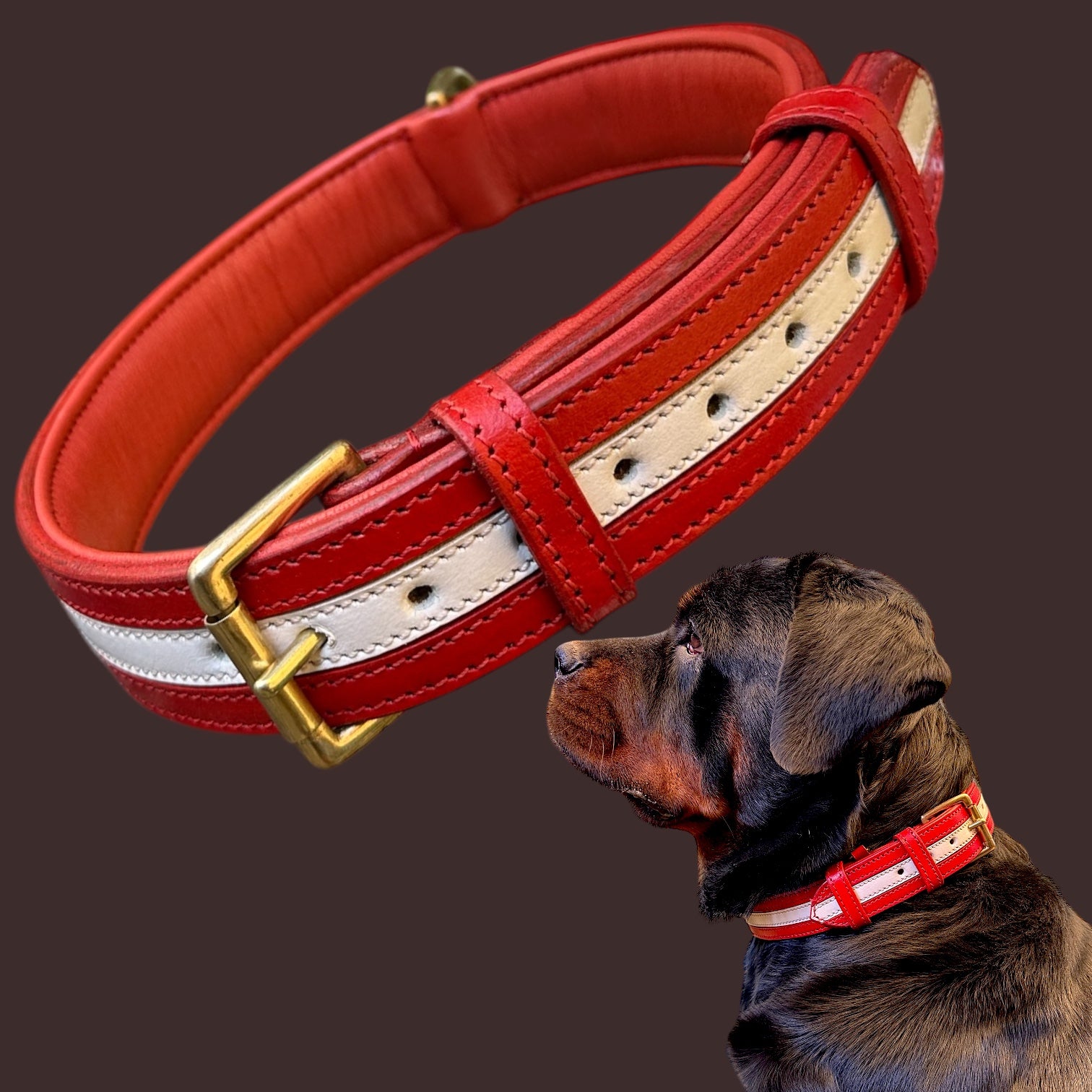 The K9 Store 100% Highgrade Leather Dual Tone Designer Dog Neck Collar (Red & White)