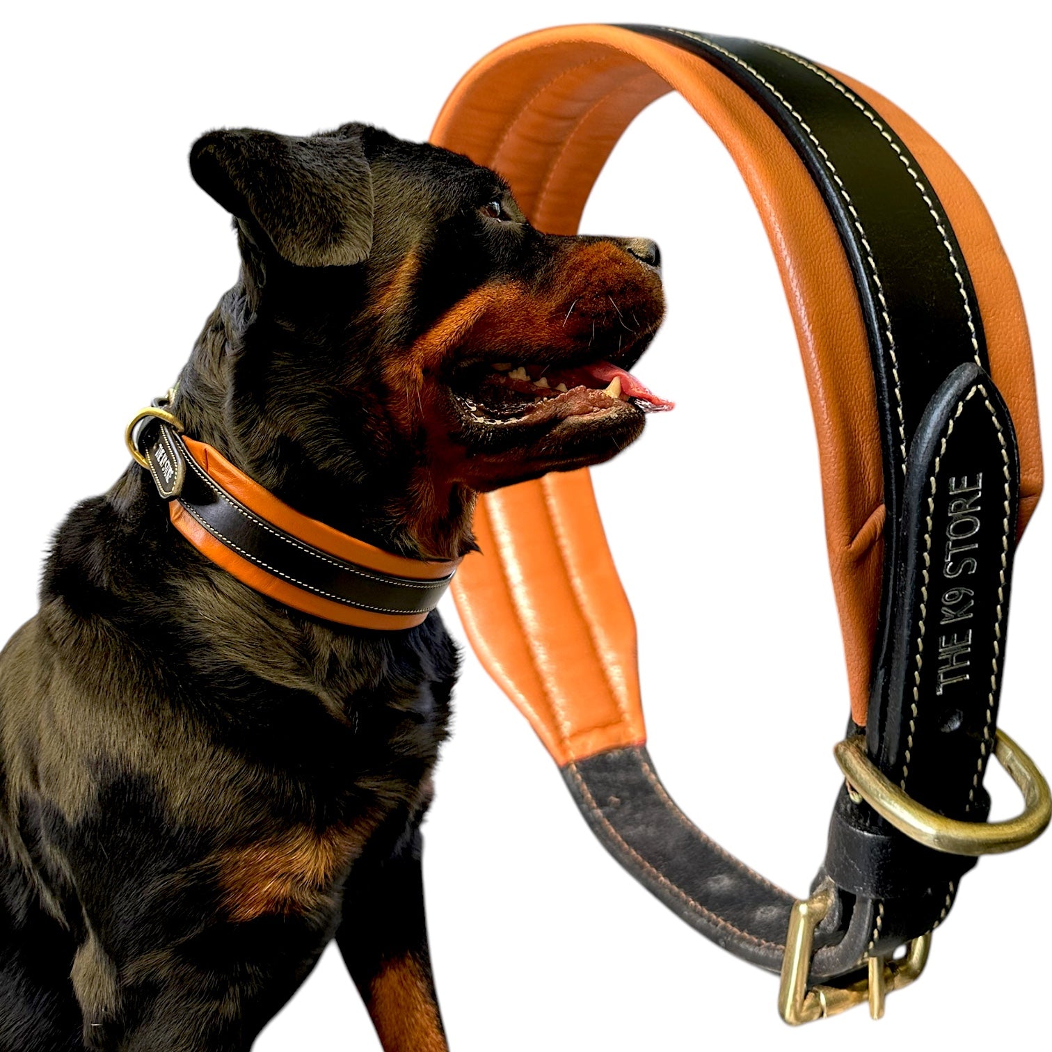 The K9 Store 100% Highgrade Leather Dual Tone Designer Dog Neck Collar (Tan & Black)