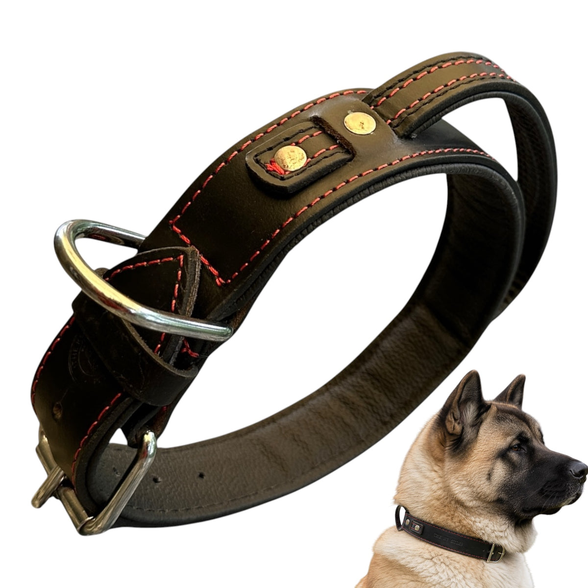The K9 Store 100% Highgrade Leather Bold Dog Neck Collar For Training With Extra Handle - Zoey's Special (Black)