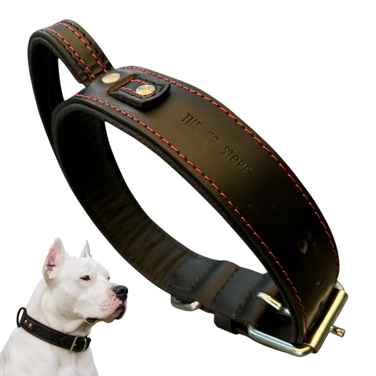 The K9 Store 100% Highgrade Leather Bold Dog Neck Collar For Training With Extra Handle - Zoey's Special (Black)