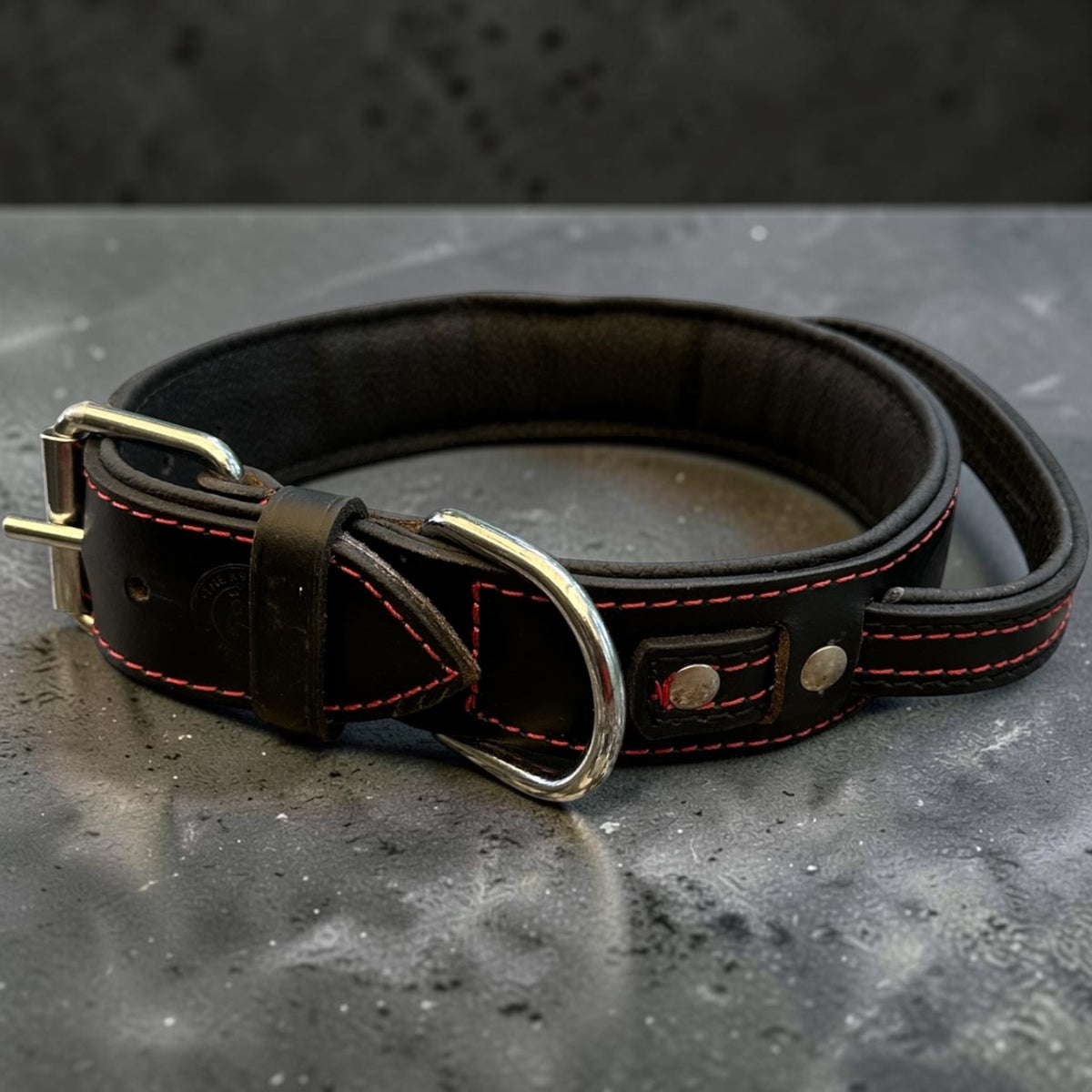 The K9 Store 100% Highgrade Leather Bold Dog Neck Collar For Training With Extra Handle - Zoey's Special (Black)